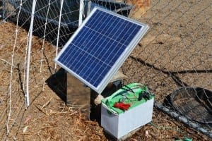 A dinner-plate sized solar panel powers the battery that electrifies the moveable fence that keeps the herds on the right path. 